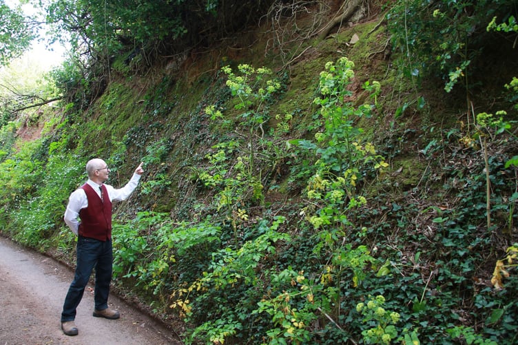 Chris Gates points out the current state of the Periton Lane embankment in Minehead. PHOTO: George Ody.