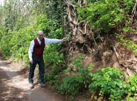 Campaign to save Saxon-age lane and trees
