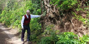 Campaign to save Saxon-age lane and trees