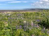 Letters from our readers across West Somerset and beyond