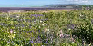 Letters from our readers across West Somerset and beyond