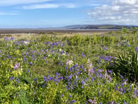 Letters from our readers across West Somerset and beyond