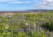 Letters from our readers across West Somerset and beyond