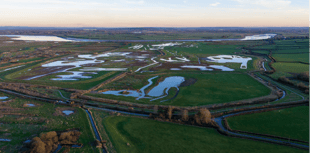 Wildlife and people legacy in wetland restoration