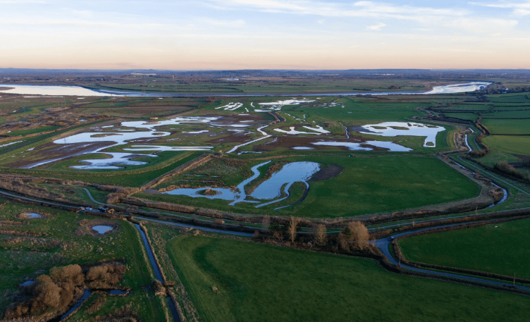 An aerial view of the restored Steart Marshes.