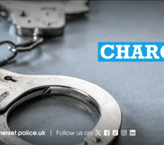 'Car key burglary' suspects held in custody