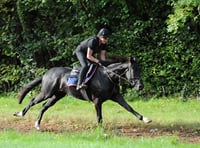 Max Potential joins the Pond House Yard 