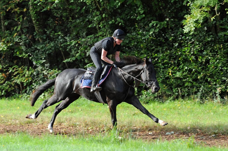 Parchment- weekend entry