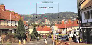 Town's 'Hundred Acre Wood' could be saved