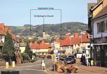 'Winnie the Pooh' woodland in Minehead could be saved for the community