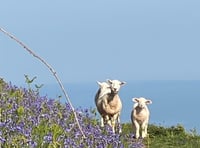 Letters from our readers in West Somerset and beyond