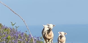 Letters from our readers in West Somerset and beyond