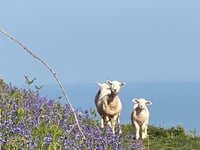 Letters from our readers in West Somerset and beyond