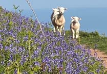 Letters from our readers in West Somerset and beyond