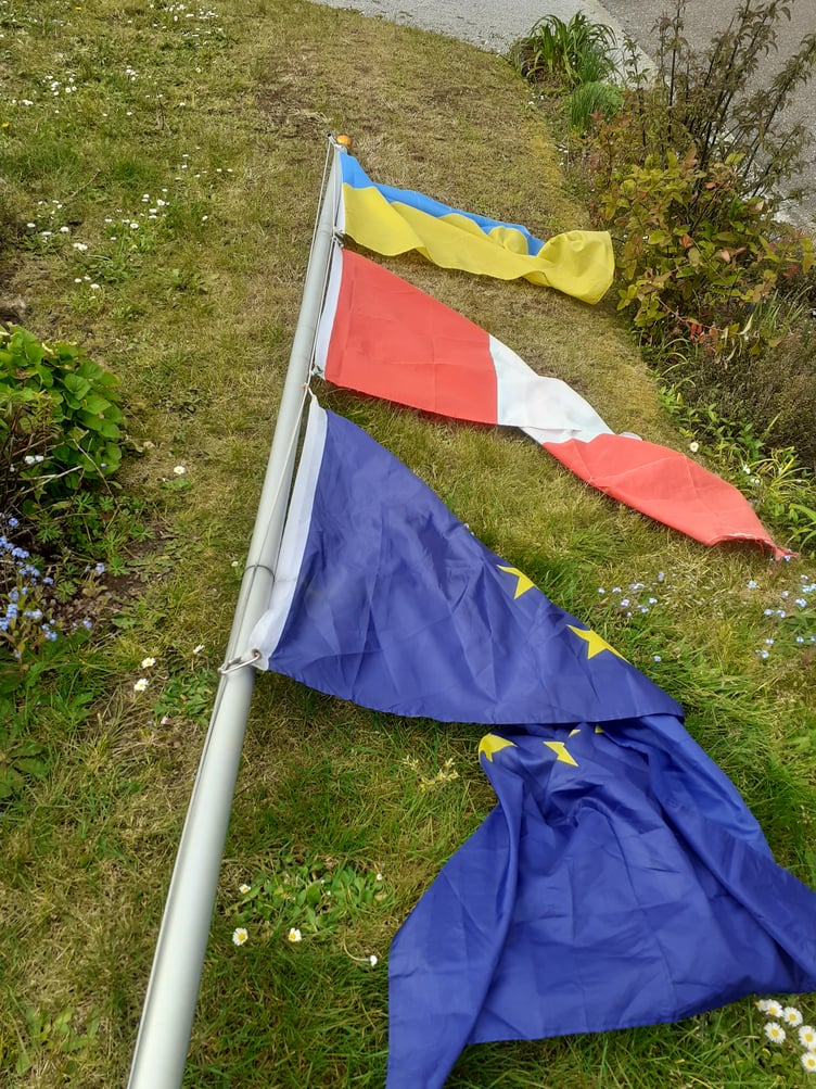Margaret Bradshaw's flagpole lies on her lawn in Minehead after being vandalised.