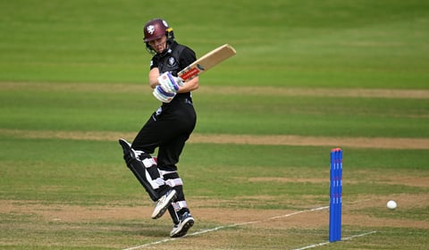 Knight and Gibson star for Somerset Women 