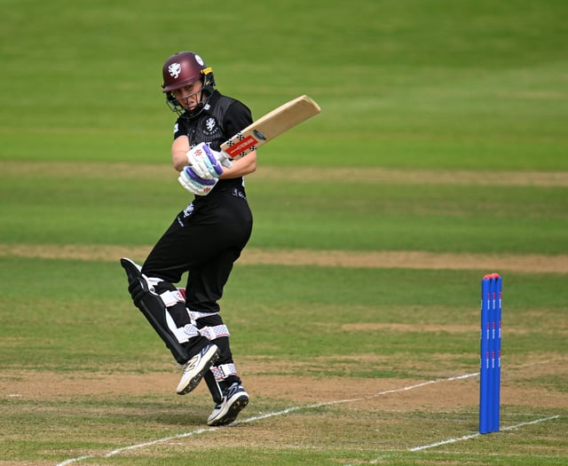 Knight and Gibson star for Somerset Women 