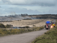 Police need help to catch serial arsonist