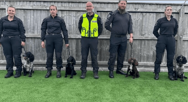 Newly-trained police dogs go on frontlines