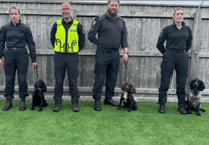 Smell me the money - new police dogs sniffing out cash and guns as well as drugs