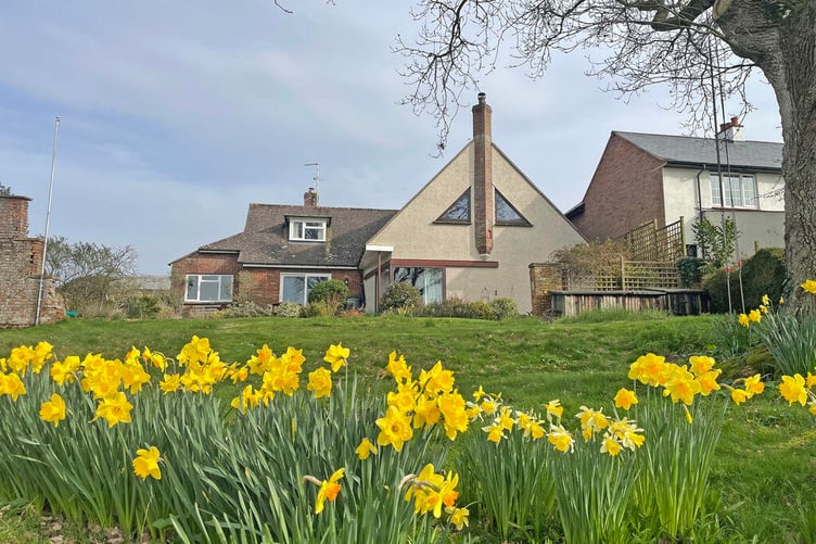 The grounds surround the property on three sides and offer an abundance of mature planting, wildflower lawns and numerous seating areas