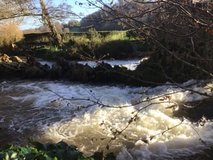 Letters from our readers across West Somerset