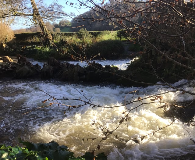 Letters from our readers across West Somerset