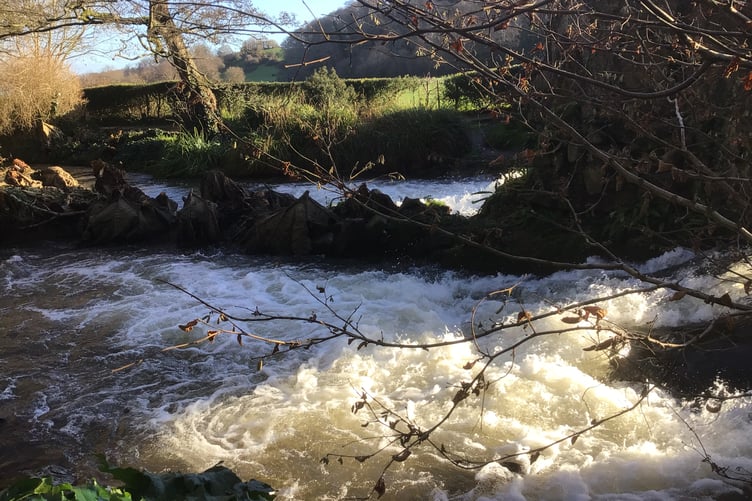 The Avill in full flow mid-winter, in the National Trust gardens at Dunster Castle. PHOTO: Maggie Rutty