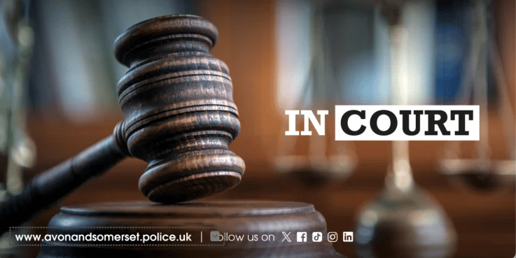 A crown court judge has sentenced a Minehead man for possessing child pornography.