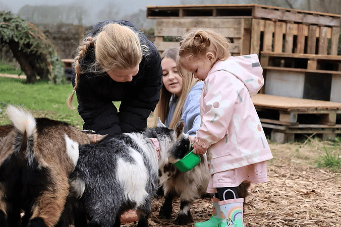Pygmy goats from Tiny Hooves will be among the activities for children to enjoy when Minehead Rotary brings back 'Party in the Park' to Blenheim Gardens.