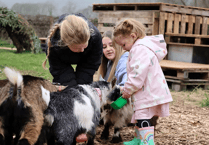 Minehead Rotary set to bring back massive free party event in Blenheim Gardens