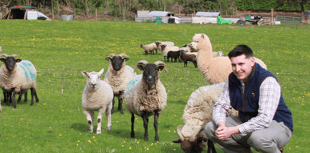 West Somerset sheep becomes movie star