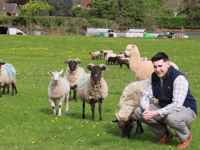 West Somerset sheep becomes movie star