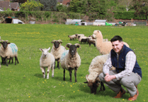 Hollywood's Hugh Jackman to star alongside Ivor the Norfolk Horn ram in new film