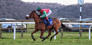 Picturesque Holnicote set for big point to point