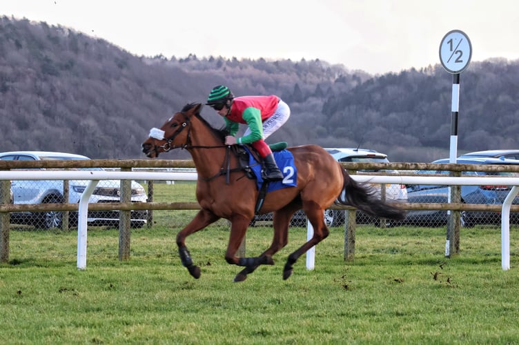 Holnicote point to point preview