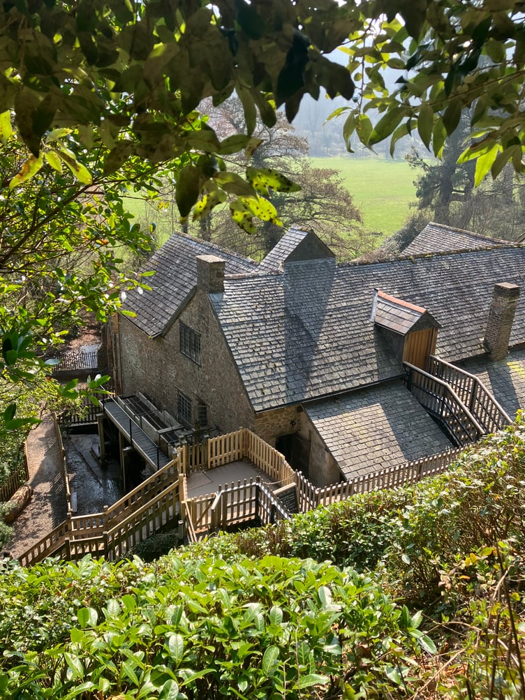 A view from above Dunster watermill. PHOTO:Kiera Collins.