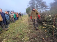 Charity in touching distance of 100-mile hedgerow centenary target