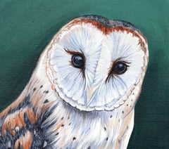 'Significant' birthday inspires art exhibition