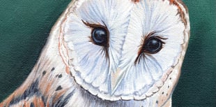 'Significant' birthday inspires art exhibition