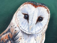'Significant' birthday inspires art exhibition