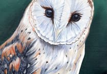 Free art exhibition as artist Susan Webber celebrates her 60th birthday