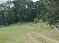 Unique children's forest nursery plans approved