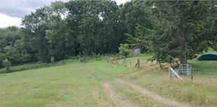 Unique children's forest nursery plans approved