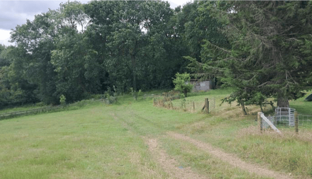 Unique children's forest nursery plans approved