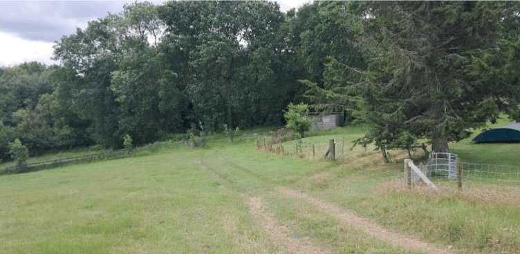 The site, on the right, where a children's forest nursery is to be built in Stogumber.