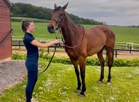 Somespring Special is first winner for White & Hobbs