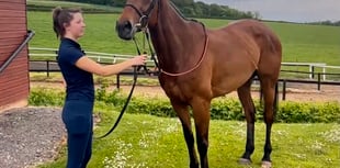 Somespring Special is first winner for White & Hobbs