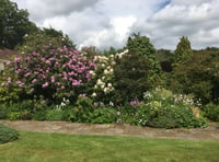 Coast path walk inspires RNLI garden opening