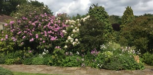 Coast path walk inspires RNLI garden opening